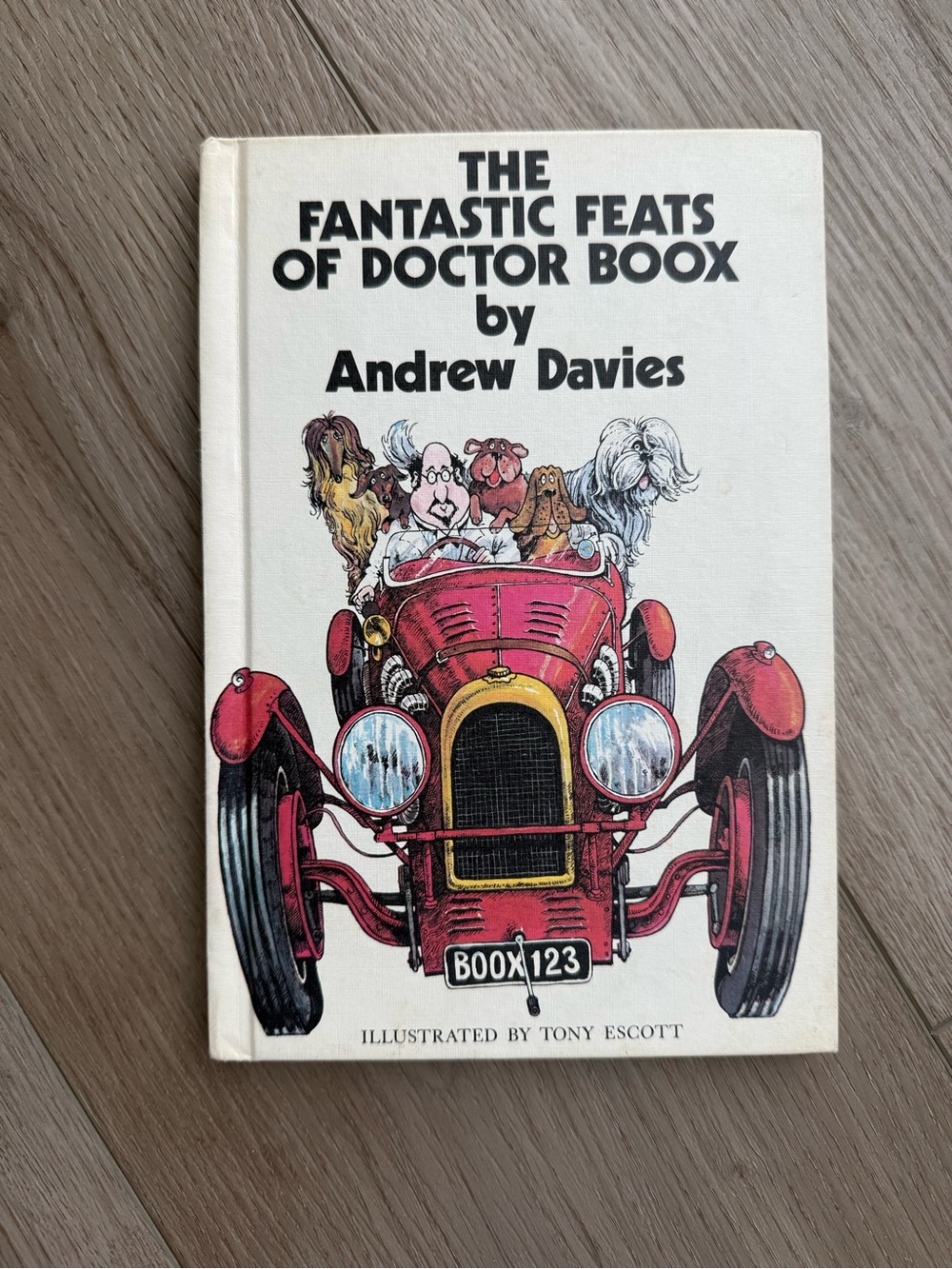 Vintage Children’s Book - The Fantastic Feats of Doctor Boox by Andrew Davies